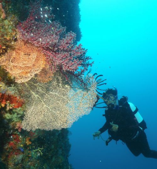wayag diver1
